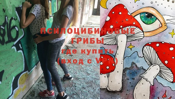 гидропоника Абинск