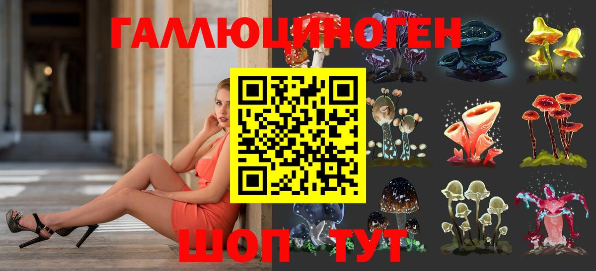 Урус-Мартан  Псилоцибиновые грибы MAGIC MUSHROOMS  Вход с VPN 