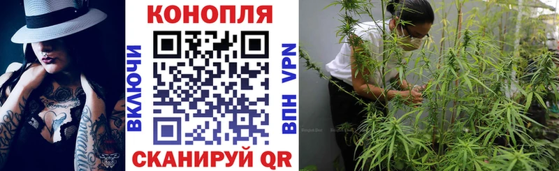 сколько стоит shop телеграм Марихуана семена Урус-Мартан